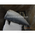 Chinese Export Frozen Pacific Mackerel Fillets For Wholesale